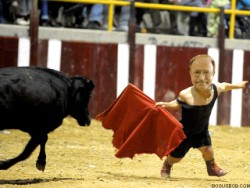  Bullfighting while small 